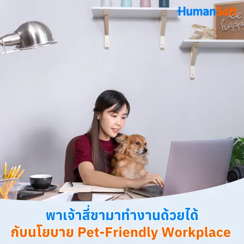 พาเจ้าสี่ขามาทำงานด้วยได้ กับนโยบาย Pet-Friendly Workplace - 500x500 similar content