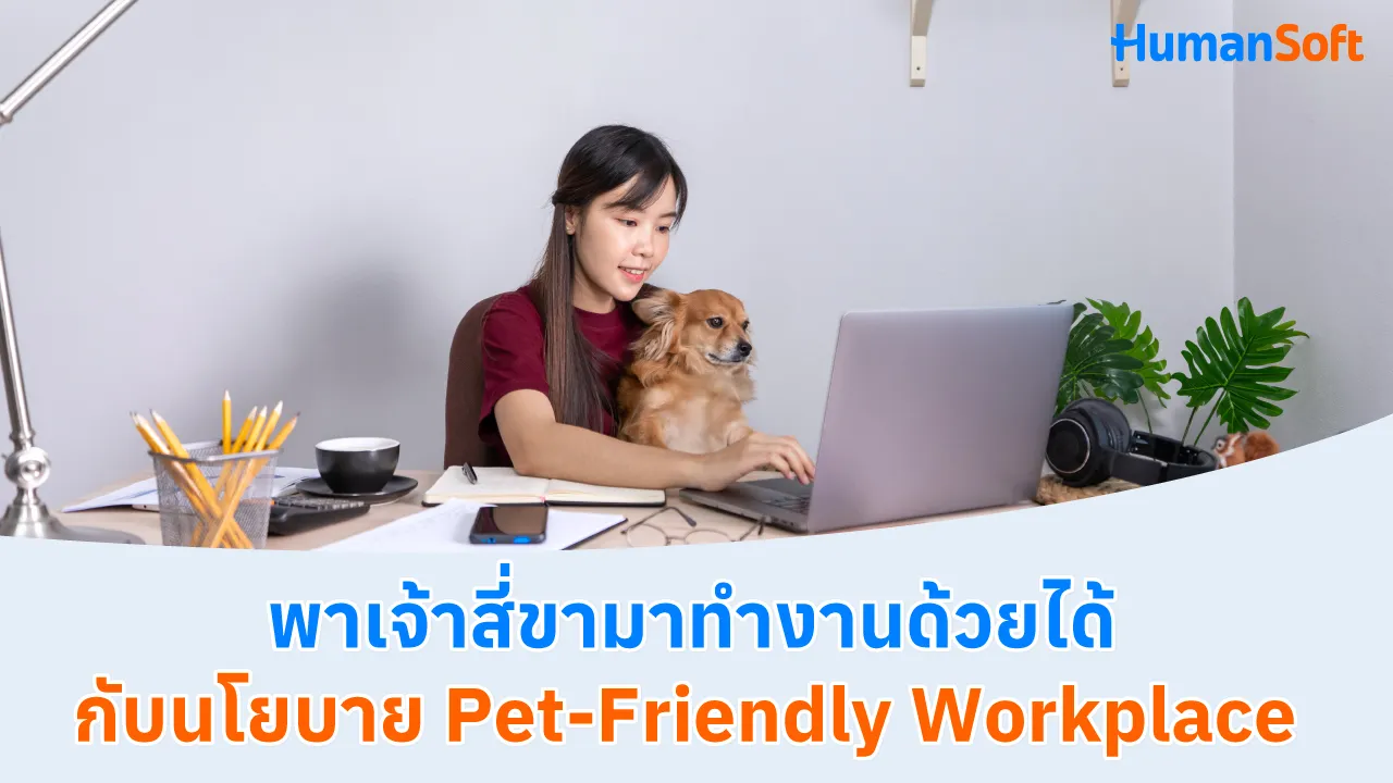 พาเจ้าสี่ขามาทำงานด้วยได้ กับนโยบาย Pet-Friendly Workplace - blog image preview