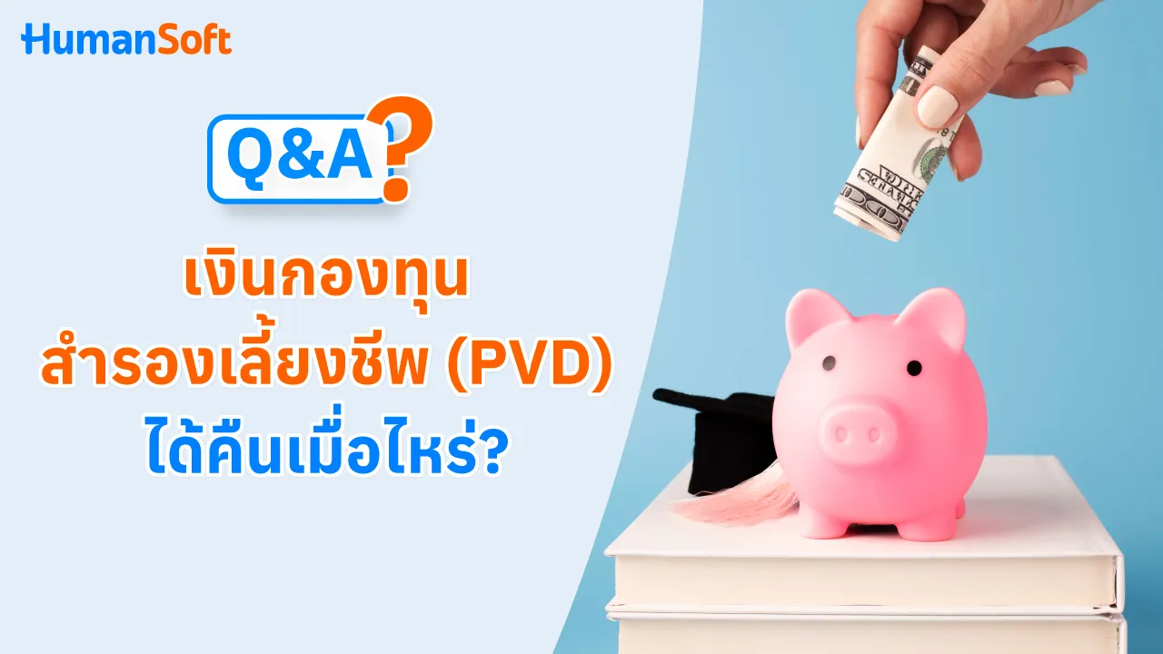 Q&A เงินกองทุนสํารองเลี้ยงชีพ (PVD) ได้คืนเมื่อไหร่? - blog image preview