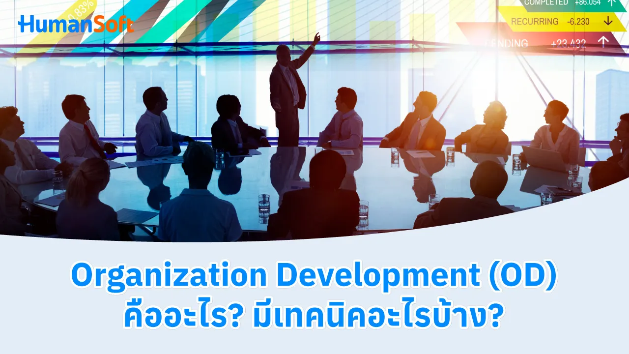 Organization Development (OD) คืออะไร? มีเทคนิคอะไรบ้าง? - blog image preview